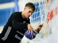 IHF)