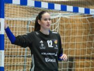Kristinn Steinn Traustason