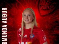 Haukar