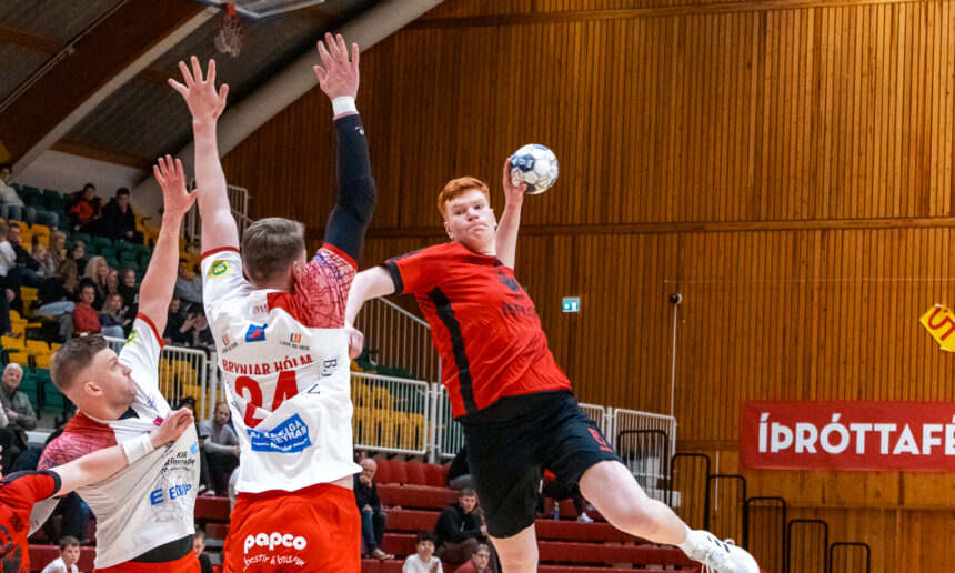 Egill Bjarni Friðjónsson)