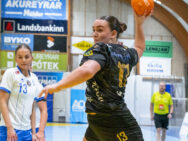 Egill Bjarni Friðjónsson)