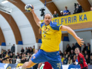 Egill Bjarni Friðjónsson)