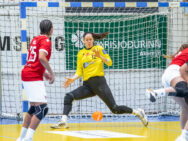 Egill Bjarni Friðjónsson)