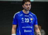 Kristinn Steinn Traustason