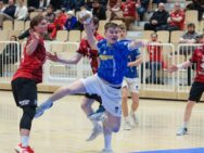 (Kristinn Steinn Traustason)